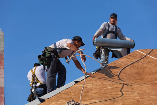 Best New Roof Installation  in Chatsworth, IL