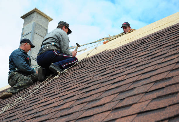 Best Flat Roof Repair Services  in Chatsworth, IL